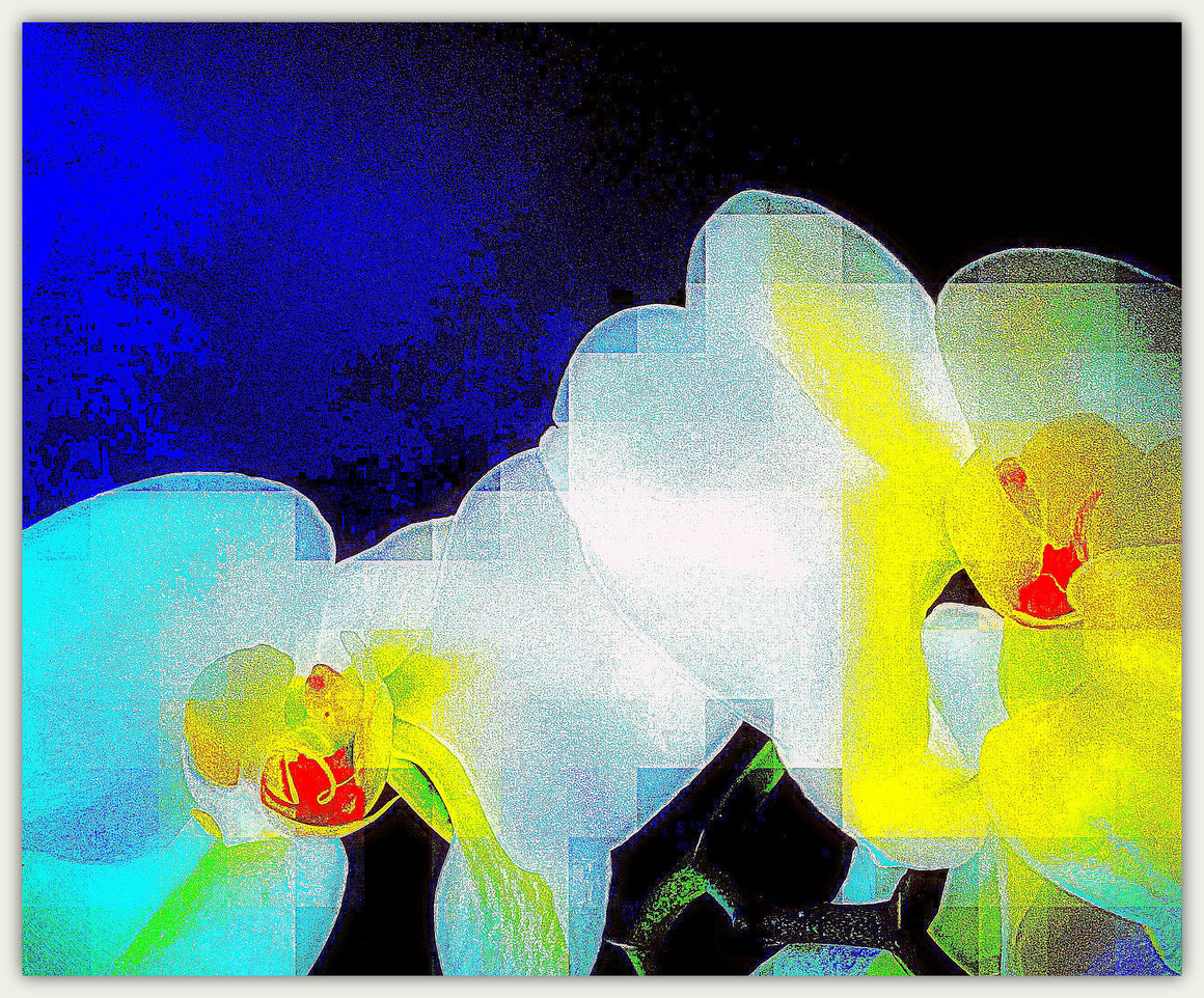 Orchidblue