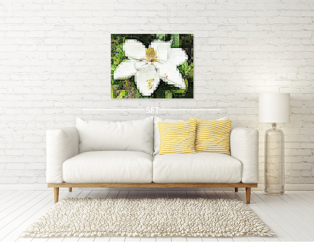 Magnolia
